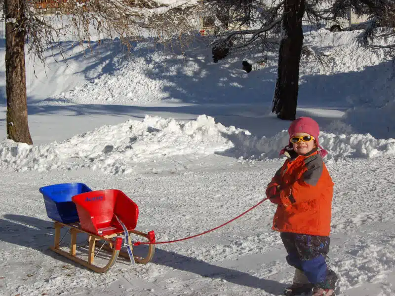 activites-enfant-traineau