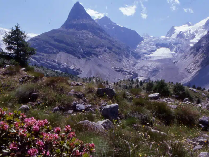 paysage-ete-montagne